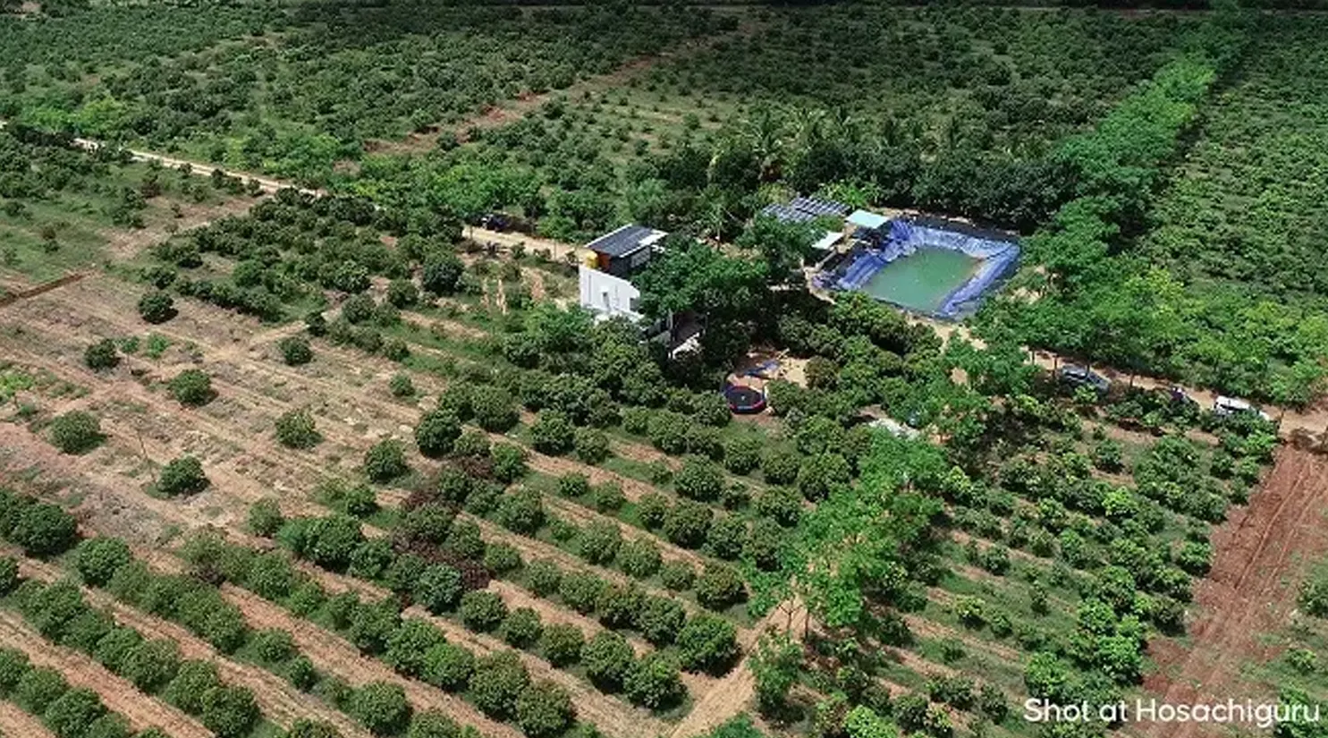 madhuvana-managed-farmland-image08